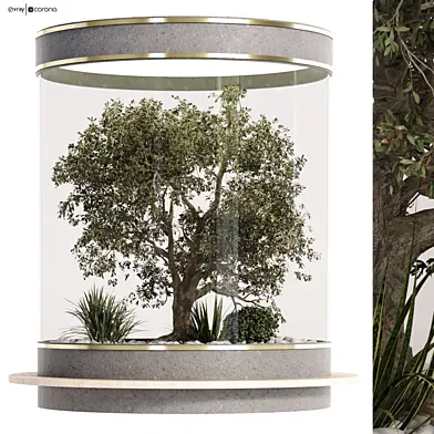 Minimal courtyard green plant in box set 520