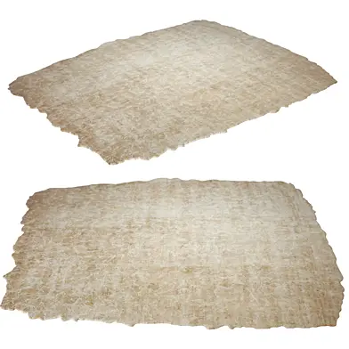Altelier fern Carpet