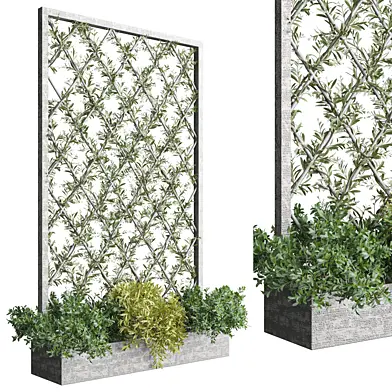 green wall vol 59