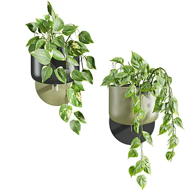 Plants Set 111