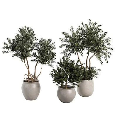Hand Built Artificial Giant Olive