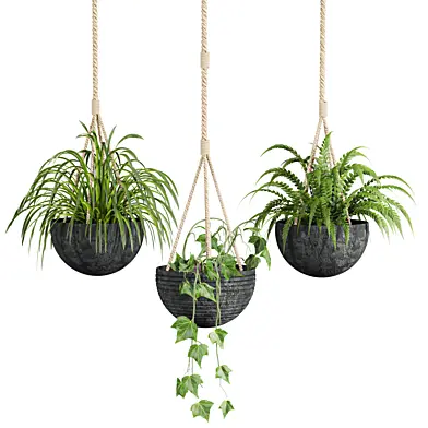 Plants Set 115