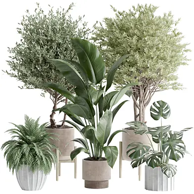 indoor plant Set 136