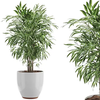 Plant 020