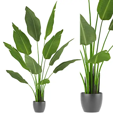 Safavieh Faux Potted Banana Leaves