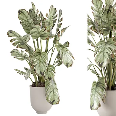 Indoor Plant in Metal Minimal Pot 3062