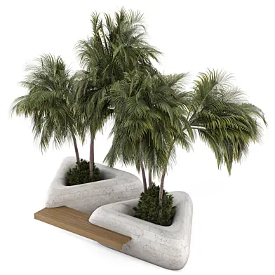 Outdoor Plants Palm Tree Collection 3070