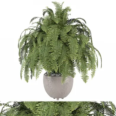 Indoor Plants Collection 1803