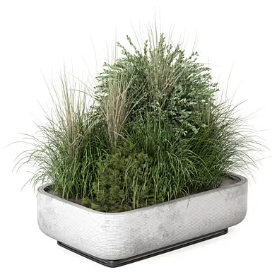 Outdoor Plants Bush in Rusty Concrete Pot Set_3074