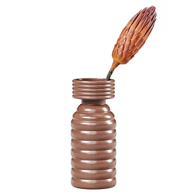 Red Dried Flower Protea