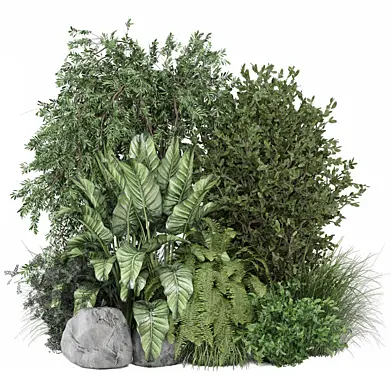 bush and tree plants 1808