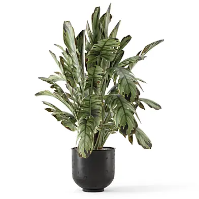 Plants in Ferm Living Bau Pot Large_Set 3080