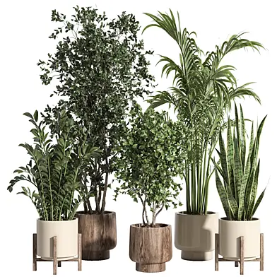indoor plant set 94 stone and wood pot