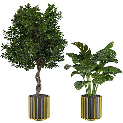 Plant Set 005