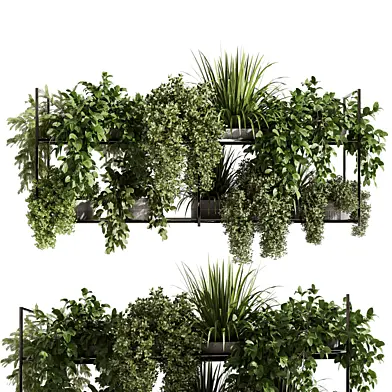 Indoor plants Hanging plants set 92