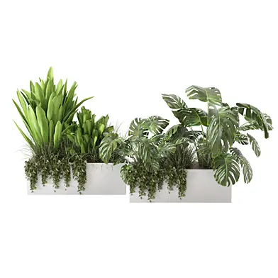 Outdoor Bush and Plants Garden_Set 0073