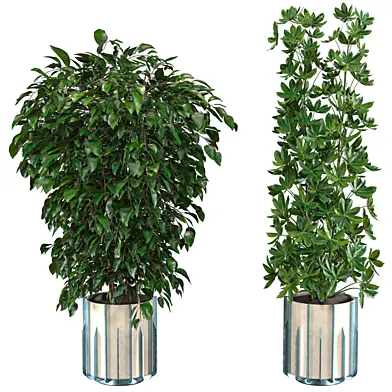 Plant Set 008