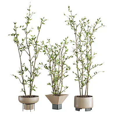 Plants Set 141