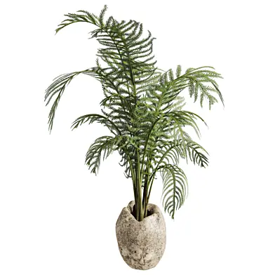 Plants_Set_147