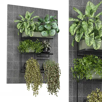 indoor hanging plants in metal shelf 1826