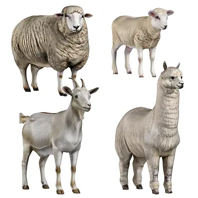 Farm animals 1