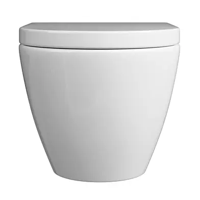 Harbour Clarity Rimless Wall Hung Toilet & Soft Close Seat