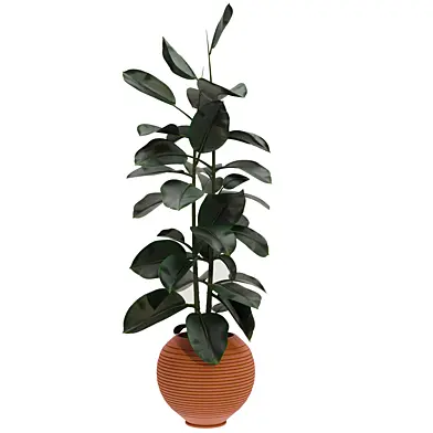Plants set 03