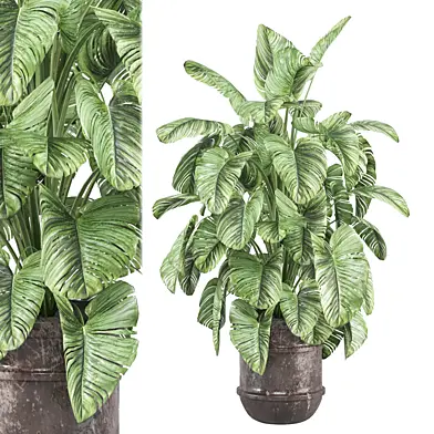 indoor Plants Collection 1835
