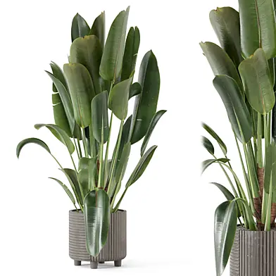 Indoor Plants in Ferm Living Bau Pot Large_Set 3142