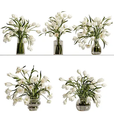 Collaction Plants Bouquet 29 white tulips