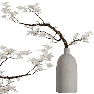 Dry branch set51