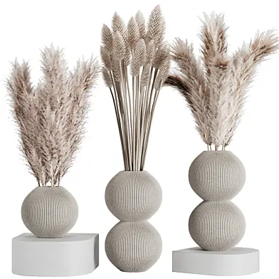 Dry branch set52
