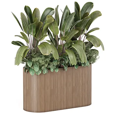 Outdoor Plants in Wooden Pot_Set 3167