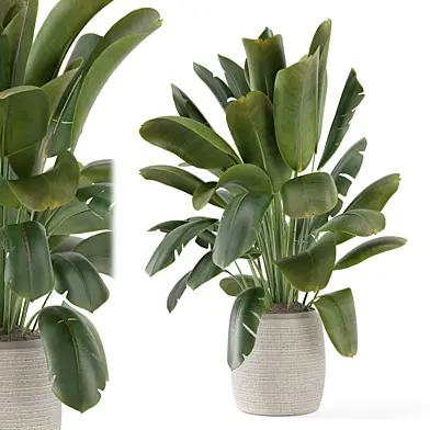 Indoor Plants in Ferm Living Bau Pot Large_Set 3174