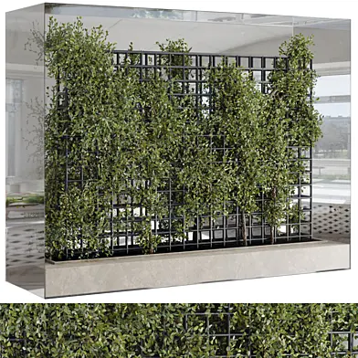 Plants Set Partition In Behind Glass - Ivy Garden Wall Decor Set 116
