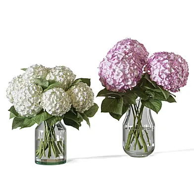 Flower Set 103 hydrangea