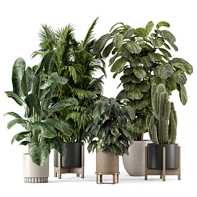 Indoor Plants in Ferm Living Bau Pot Large_Set 3207