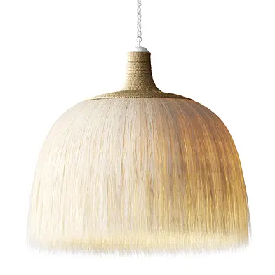 Agave and Water Hyacinth Lamp