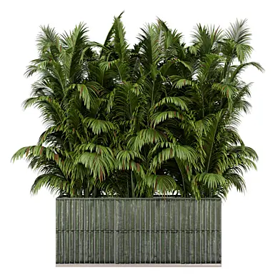 Indoor Palm Plants in Green Tile Pot_Set 3210