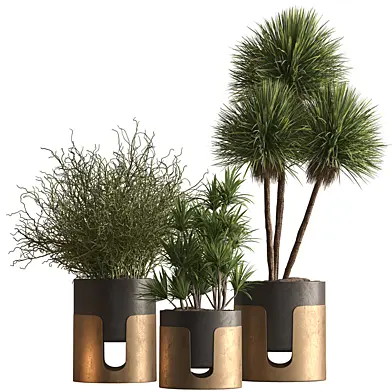 Indoor Plant 923 - Tree and Bush