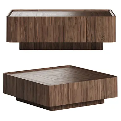 Minimalist Storage Coffee Table
