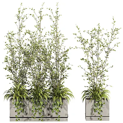 Plants Set 173