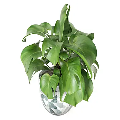 Big Leaf Plant in Ferm Living Bau Pot_Set 3225