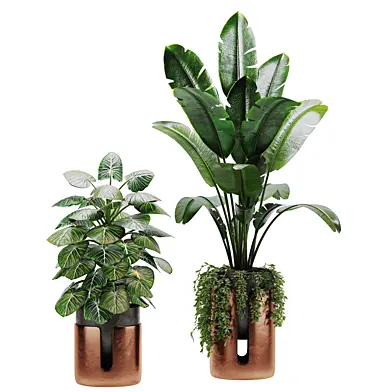 Modern Indoor Planters