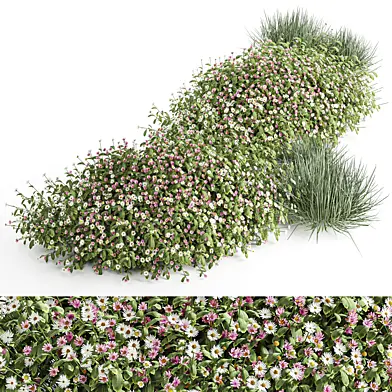 Flowering Shurbs Set