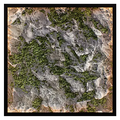 Stone Wall Panel with Moss