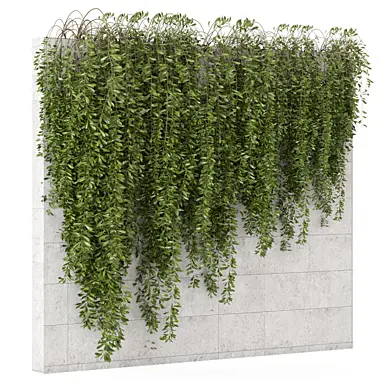 Hanging Plants in Concrete Wall_Set 3262
