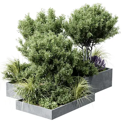 Outdoor plants 12