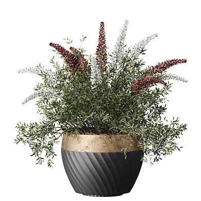 Indoor plant 009