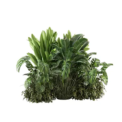 Outdoor Bush and Plants Garden_Set 0097